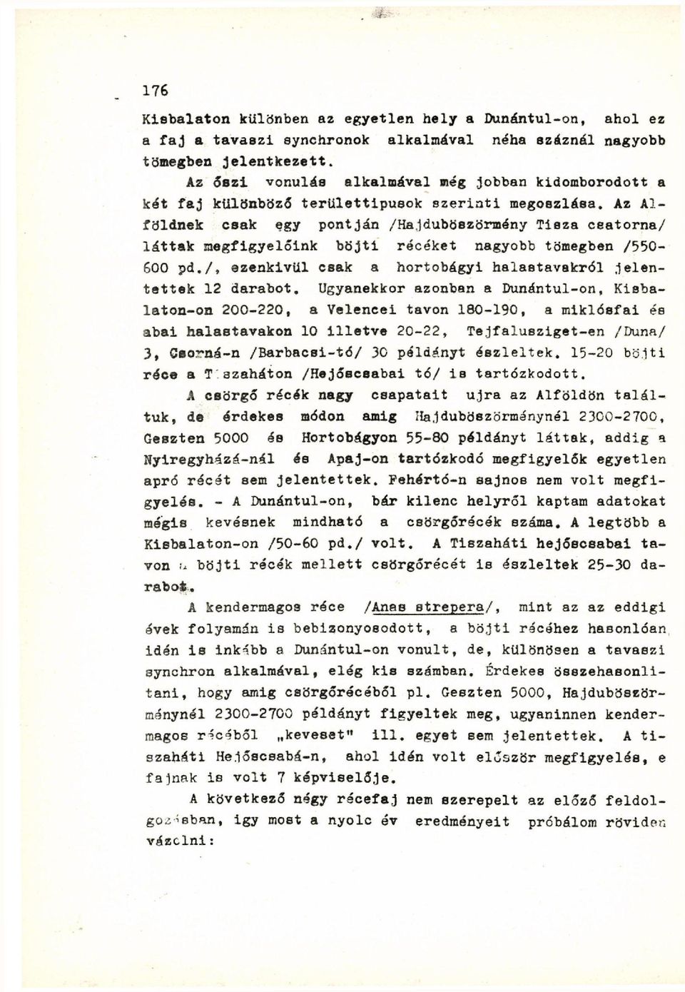 Az Alföldnek csak egy pontján /Hajduböezörmény Tisza ceatorna/ láttak megfigyelőink böjti récéket nagyobb tömegben /550-600 pd./, ezenkívül csak a hortobágyi halaatavaktól jelentettek 12 darabot.