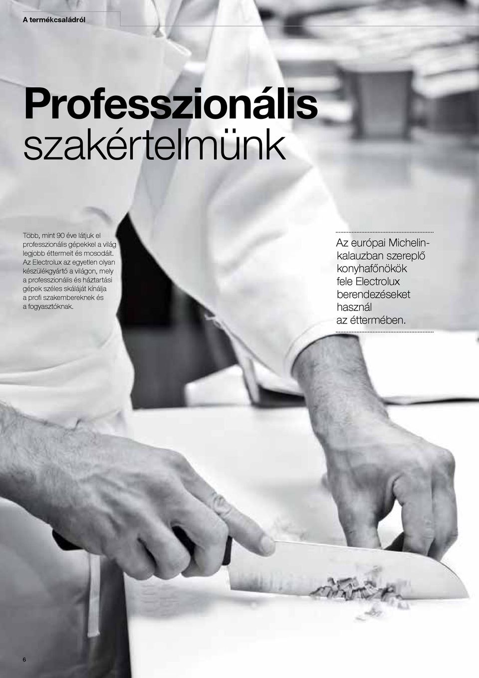 Az Electrolux az egyetlen olyan készülékgyártó a világon, mely a professzionális és háztartási gépek