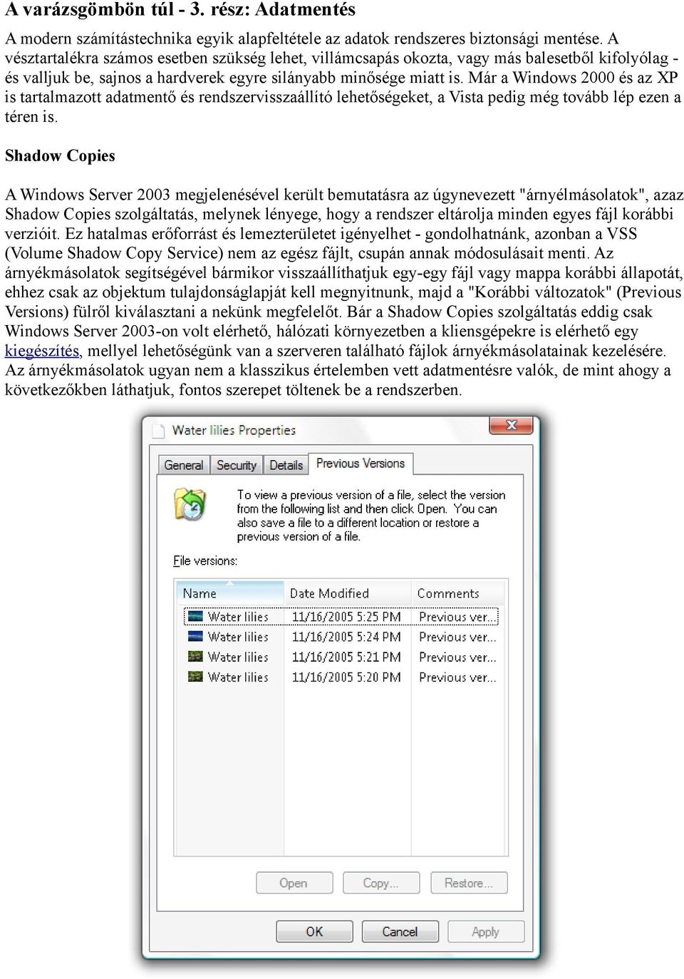 Már a Windows 2000 és az XP is tartalmazott adatmentő és rendszervisszaállító lehetőségeket, a Vista pedig még tovább lép ezen a téren is.