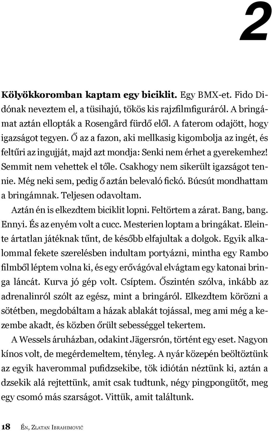 Csakhogy nem sikerült igazságot tennie. Még neki sem, pedig ő aztán belevaló fickó. Búcsút mondhattam a bringámnak. Teljesen odavoltam. Aztán én is elkezdtem biciklit lopni. Feltörtem a zárat.