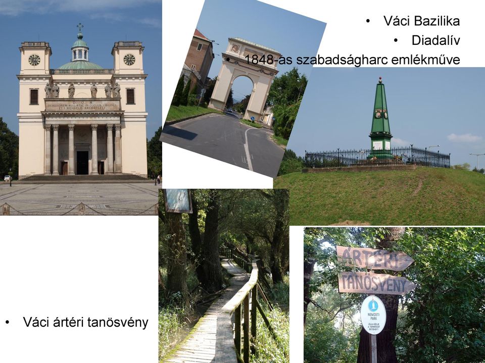 szabadságharc