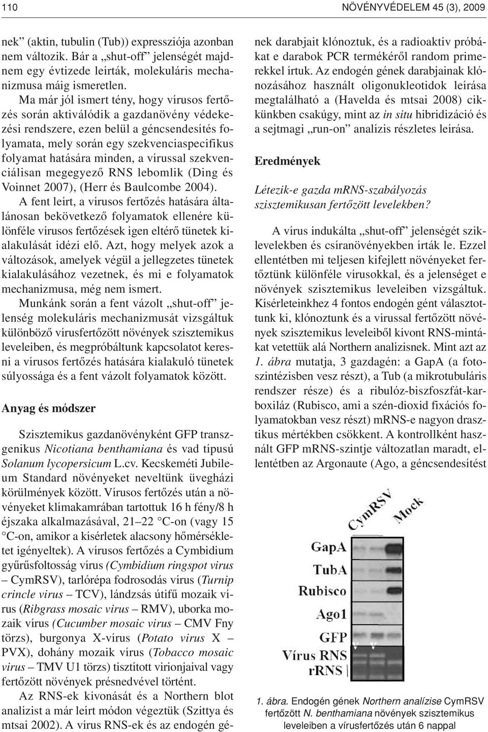 minden, a vírussal szekvenciálisan megegyezô RNS lebomlik (Ding és Voinnet 2007), (Herr és Baulcombe 2004).