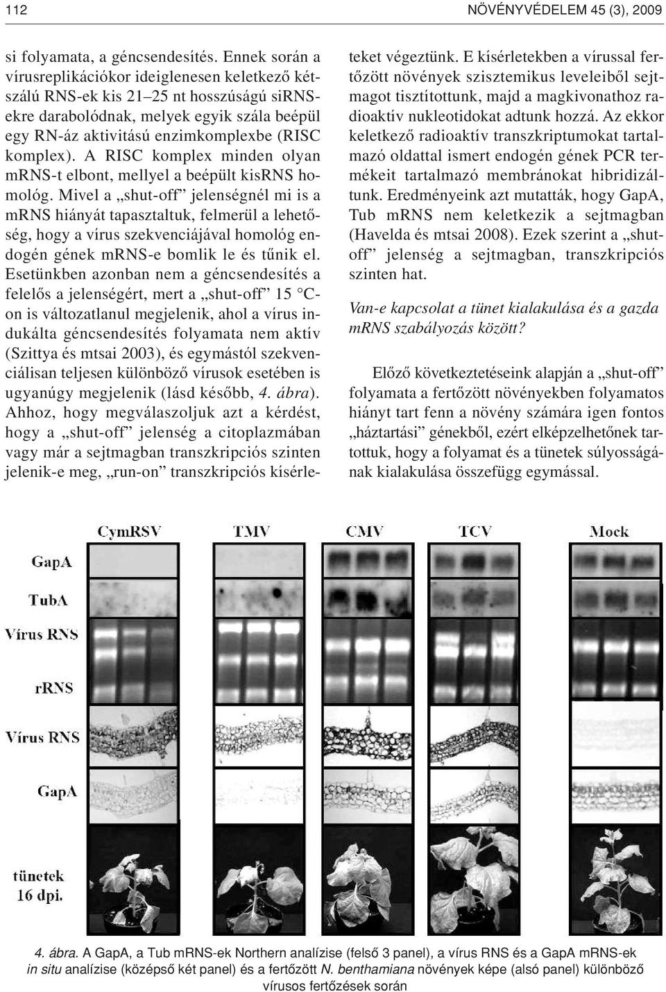 A RISC komplex minden olyan mrns-t elbont, mellyel a beépült kisrns homológ.