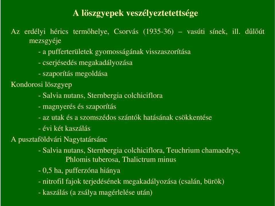 Sternbergia colchiciflora - magnyerés és szaporítás - az utak és a szomszédos szántók hatásának csökkentése - évi két kaszálás A pusztaföldvári Nagytatársánc A