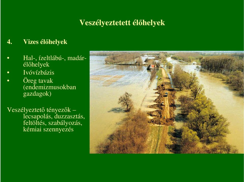 Ivóvízbázis Öreg tavak (endemizmusokban gazdagok)