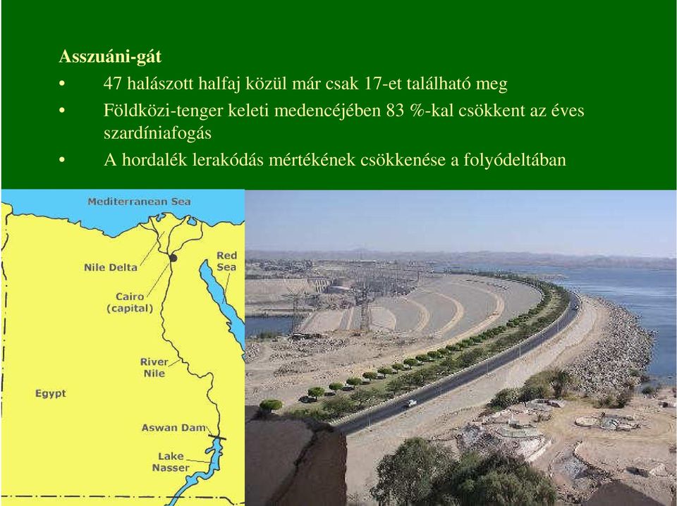 medencéjében 83 %-kal csökkent az éves