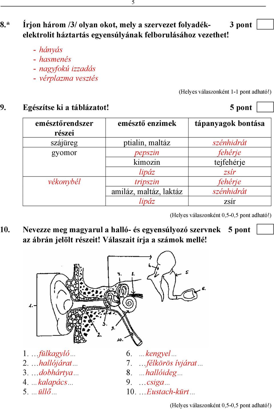 5 pont emésztőrendszer emésztő enzimek tápanyagok bontása részei szájüreg ptialin, maltáz szénhidrát gyomor pepszin fehérje kimozin tejfehérje lipáz zsír vékonybél tripszin