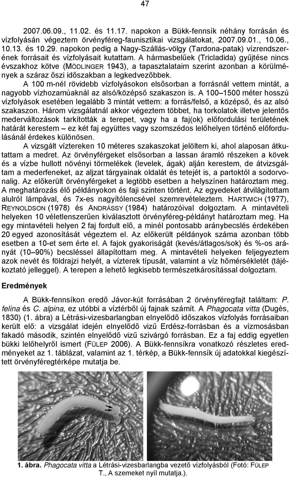 A hármasbelűek (Tricladida) gyűjtése nincs évszakhoz kötve (MÖDLINGER 1943), a tapasztalataim szerint azonban a körülmények a száraz őszi időszakban a legkedvezőbbek.