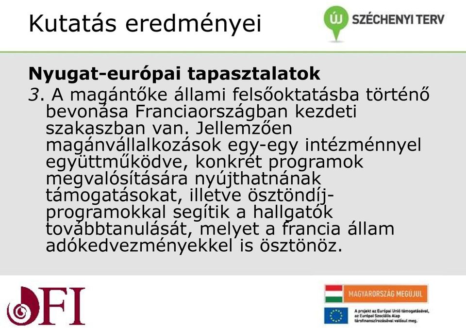 Jellemzően magánvállalkozások egy-egy ntézménnyel együttműködve, konkrét programok