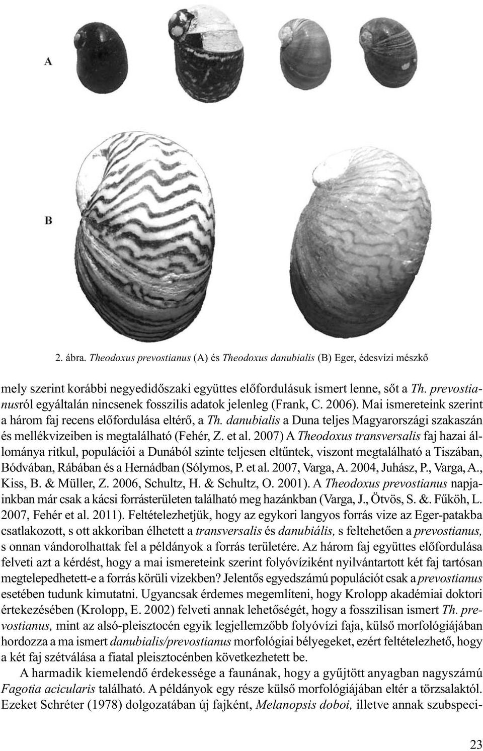 danubialis a Duna teljes Magyarországi szakaszán és mellékvizeiben is megtalálható (Fehér, Z. et al.