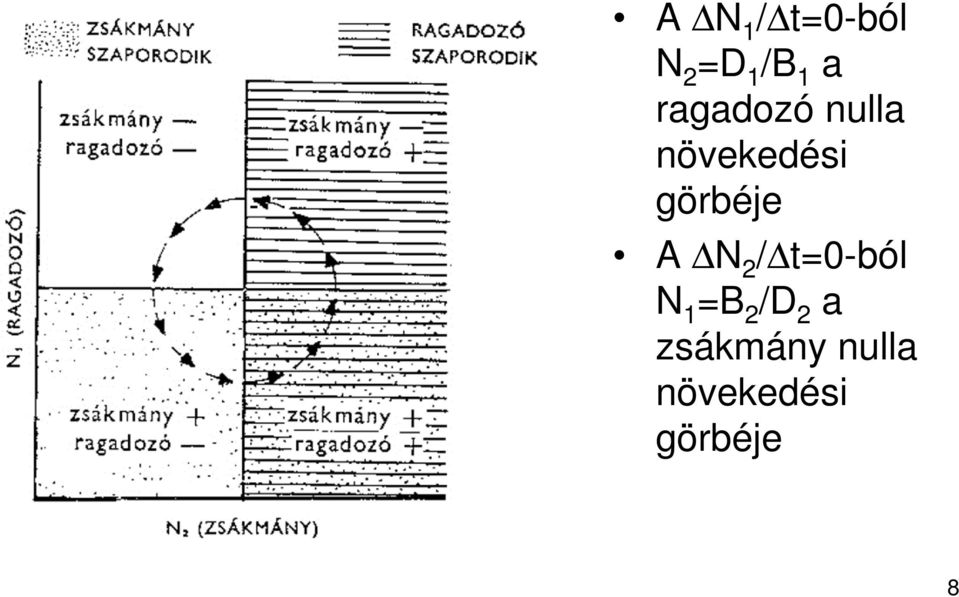 A N 2 / t=0-ból N 1 =B 2 /D 2 a