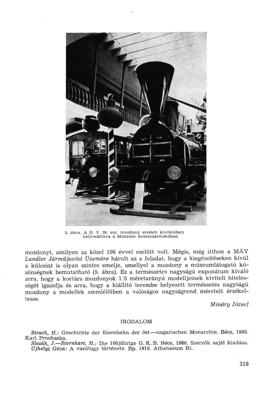 (5. ábra).