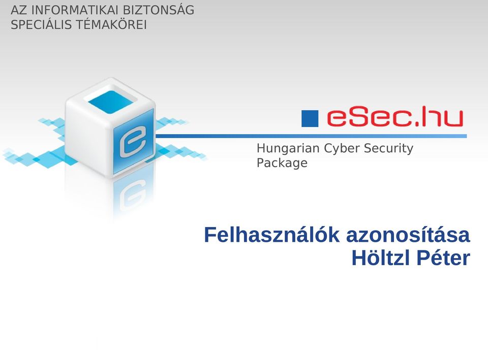 Hungarian Cyber Security