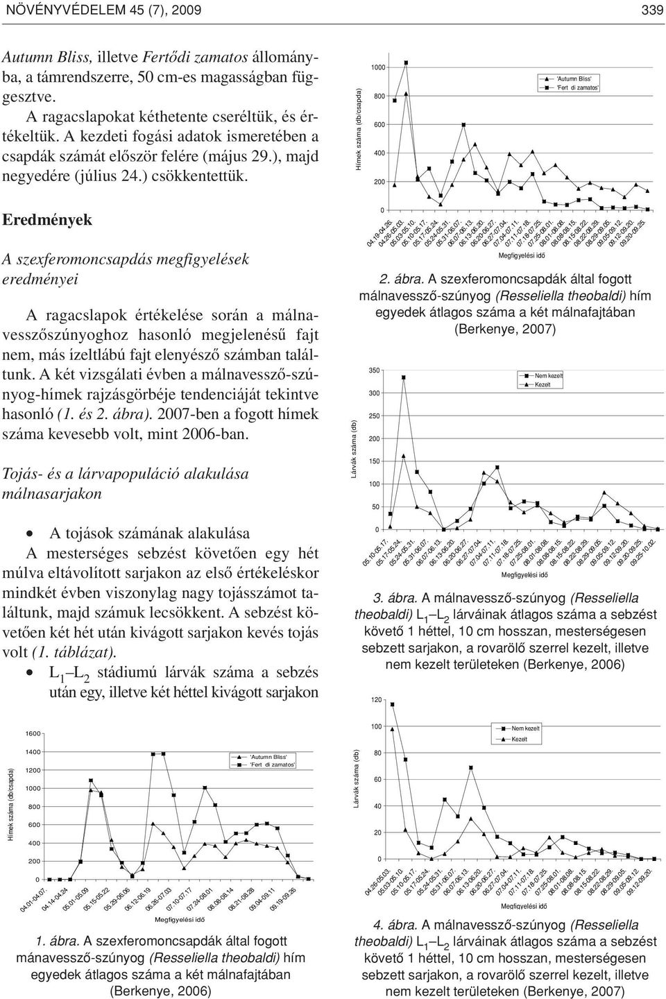 Eredmények A szexferomoncsapdás megfigyelések eredményei A ragacslapok értékelése során a málnavesszôszúnyoghoz hasonló megjelenésû fajt nem, más ízeltlábú fajt elenyészô számban találtunk.