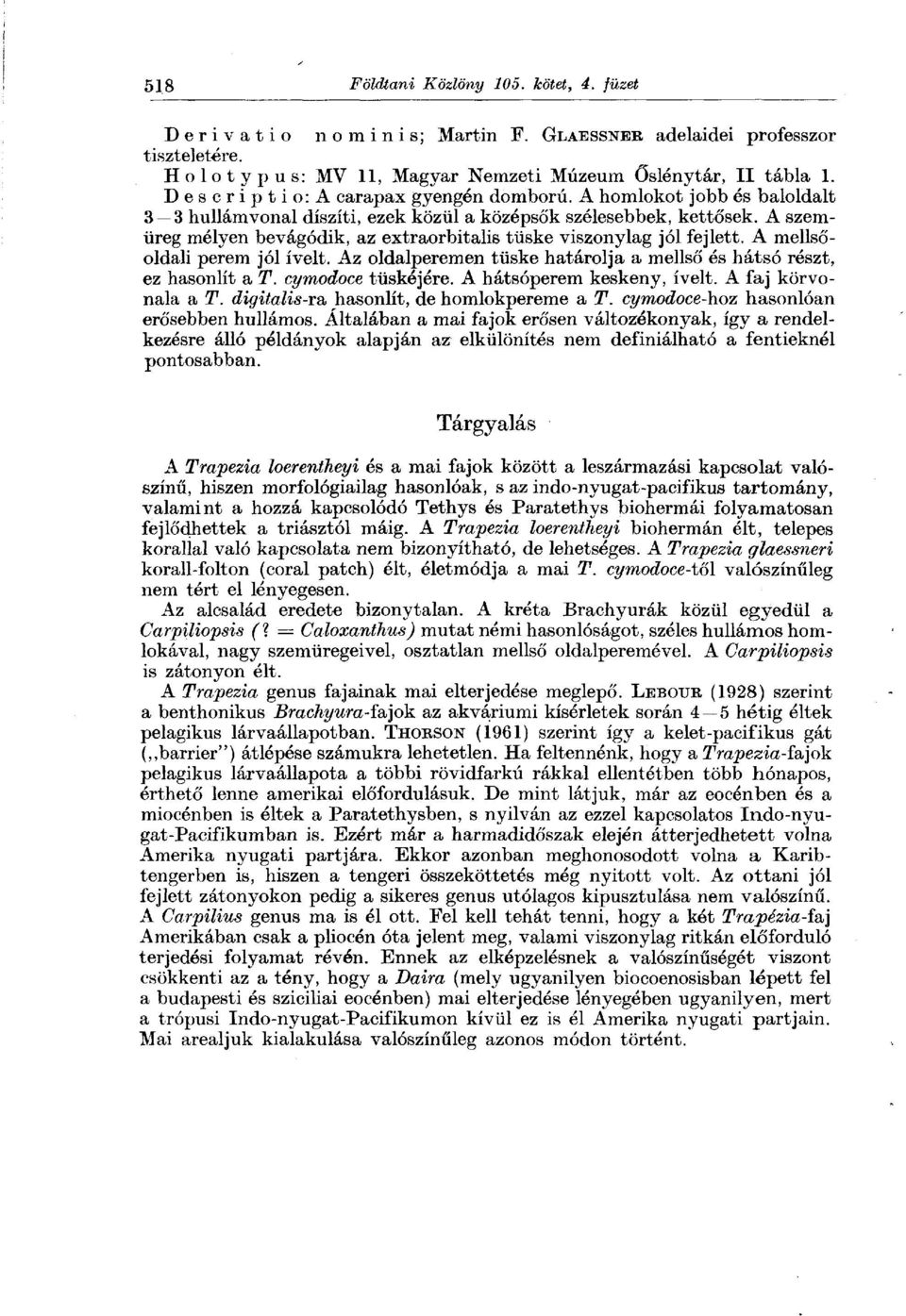 A szemüreg mélyen bevágódik, az extraorbitalis tüske viszonylag jól fejlett. A mellsőoldali perem jól ívelt. Az oldalperemen tüske határolja a mellső és hátsó részt, ez hasonlít a T.