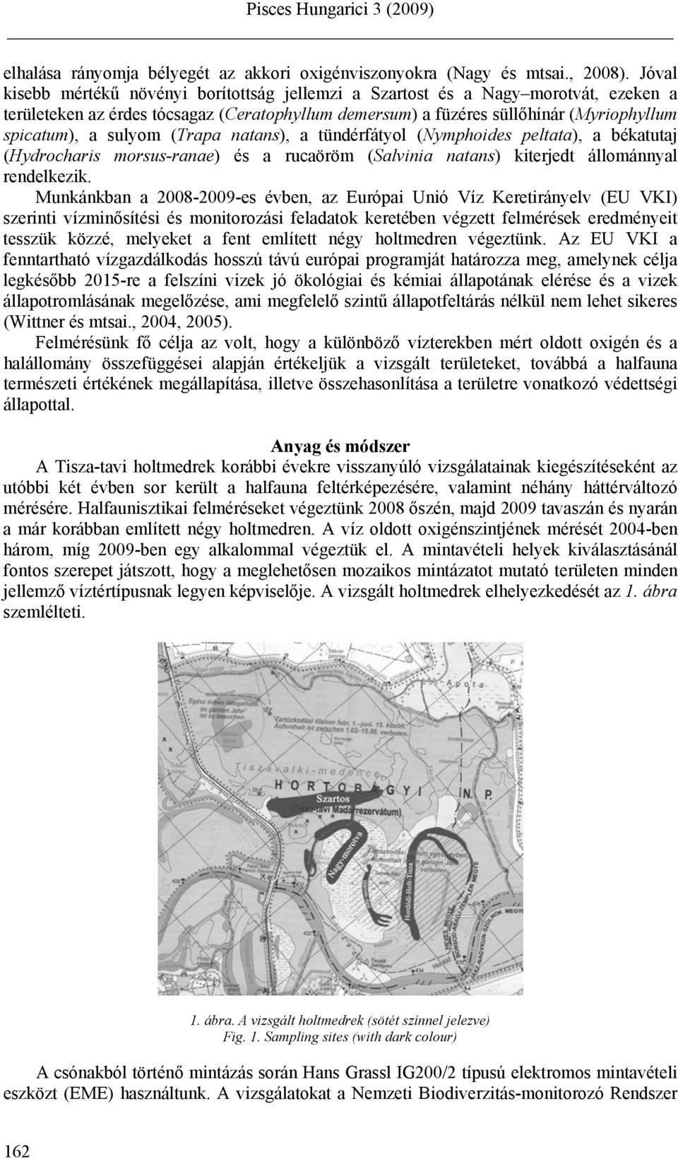 (Trapa natans), a tündérfátyol (Nymphoides peltata), a békatutaj (Hydrocharis morsus-ranae) és a rucaöröm (Salvinia natans) kiterjedt állománnyal rendelkezik.