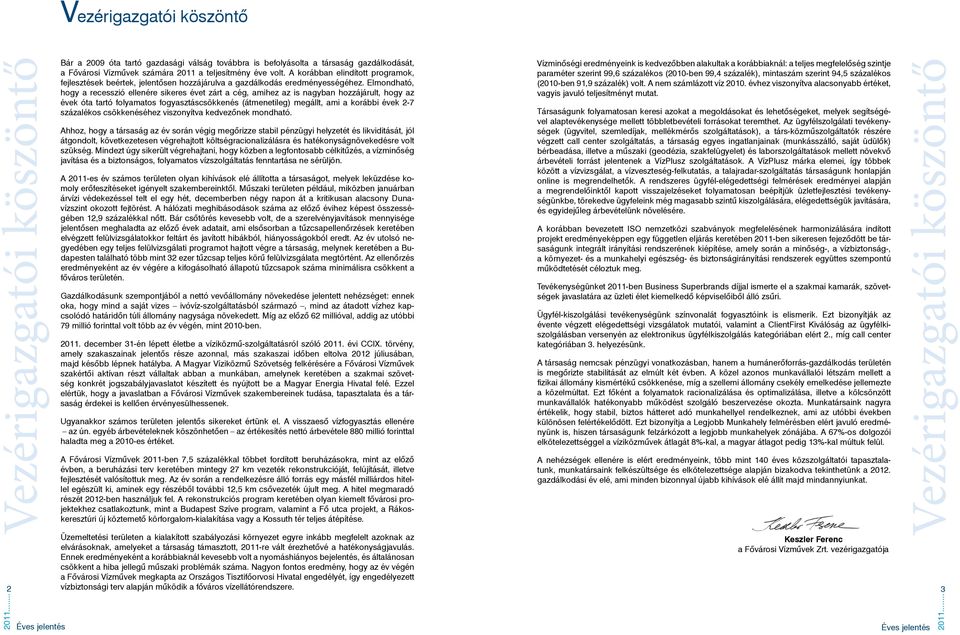 Elmondható, hogy a recesszió ellenére sikeres évet zárt a cég, amihez az is nagyban hozzájárult, hogy az évek óta tartó folyamatos fogyasztáscsökkenés (átmenetileg) megállt, ami a korábbi évek 2-7