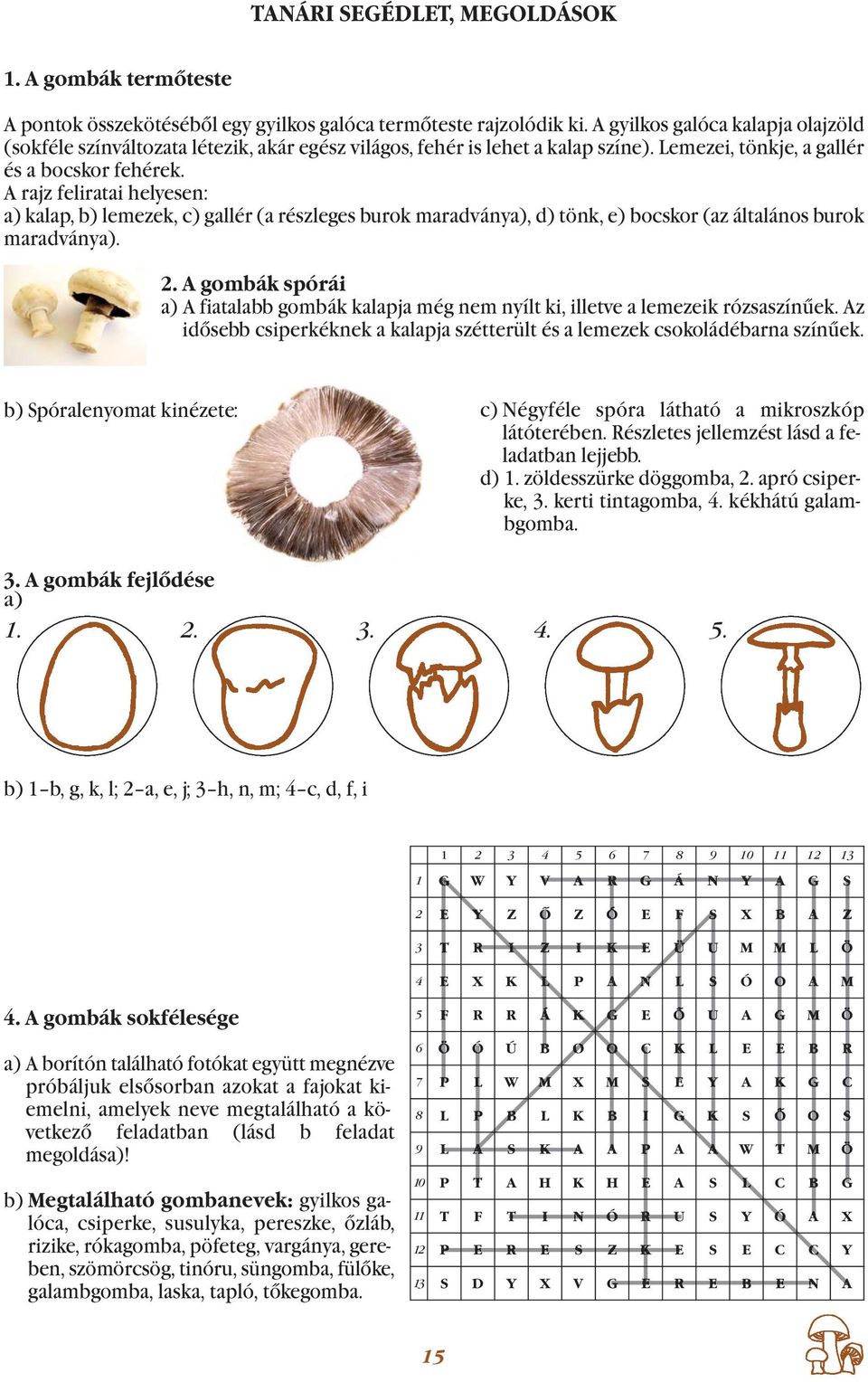 A rajz feliratai helyesen: a) kalap, b) lemezek, c) gallér (a részleges burok maradványa), d) tönk, e) bocskor (az általános burok maradványa). 2.