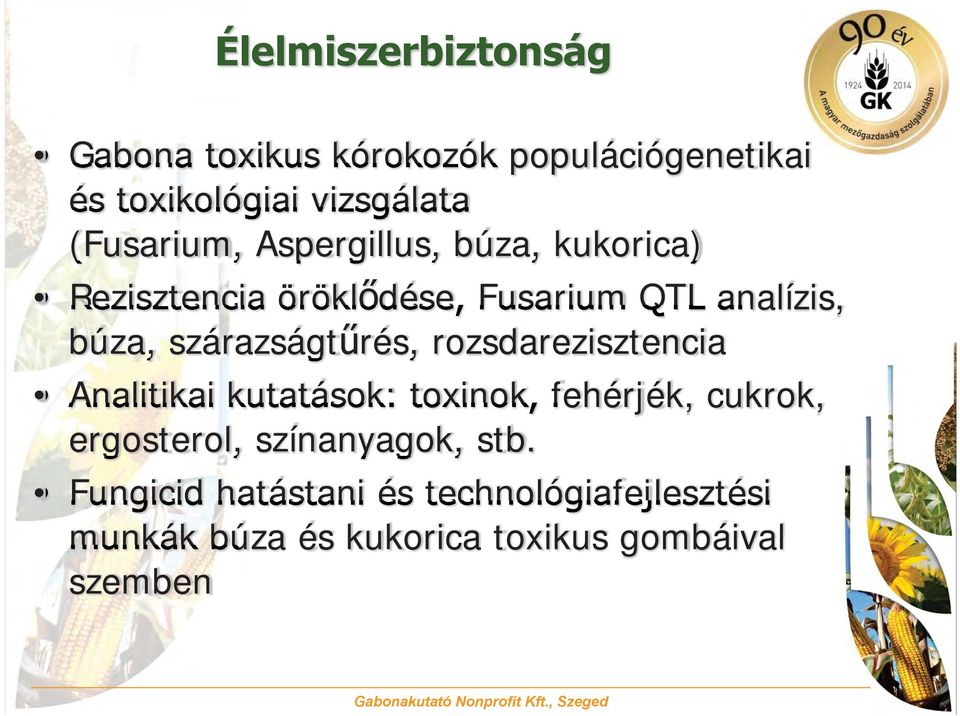 szárazságtűrés, rozsdarezisztencia Analitikai kutatások: toxinok, fehérjék, cukrok, ergosterol,