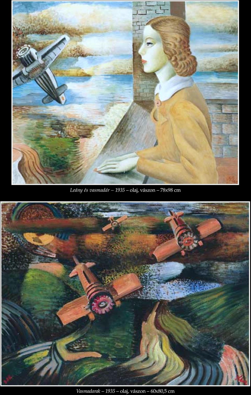 78x98 cm Vasmadarak 