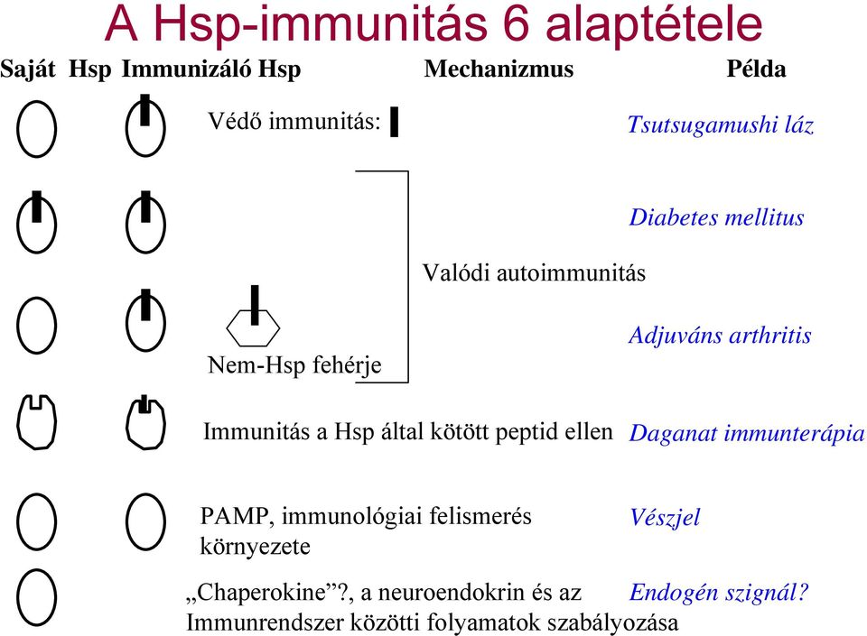kötött peptid ellen Adjuváns arthritis Daganat immunterápia PAMP, immunológiai felismerés