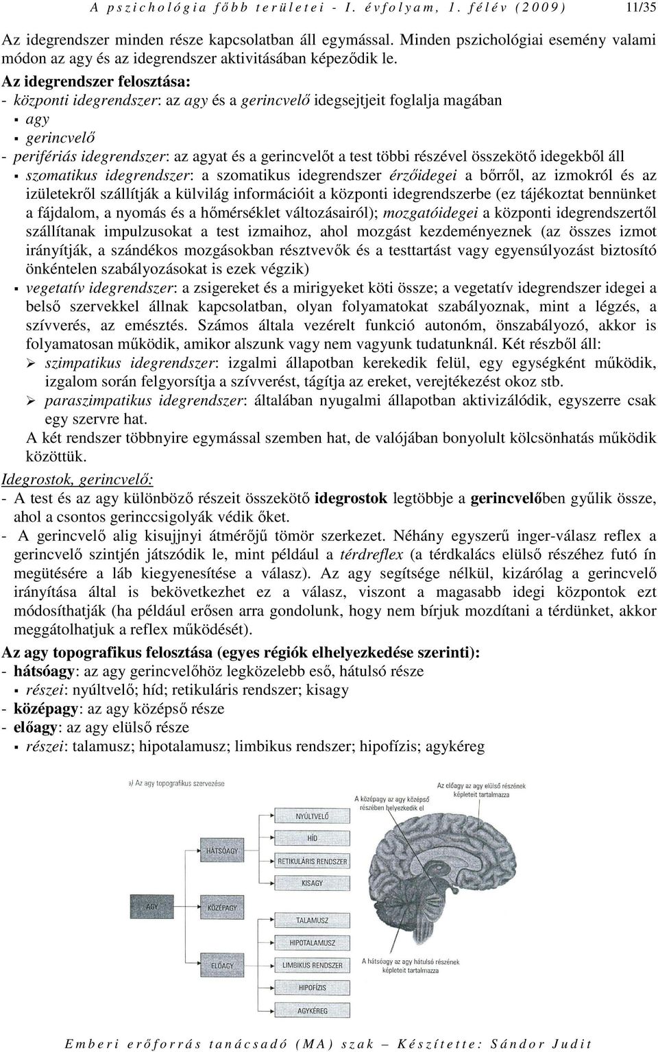 Az idegrendszer felosztása: - központi idegrendszer: az agy és a gerincvelı idegsejtjeit foglalja magában agy gerincvelı - perifériás idegrendszer: az agyat és a gerincvelıt a test többi részével