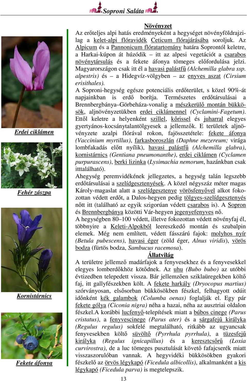 Magyarországon csak itt él a havasi palástfű (Alchemilla glabra ssp. alpestris) és a Hidegvíz-völgyben az enyves aszat (Cirsium erisithales).
