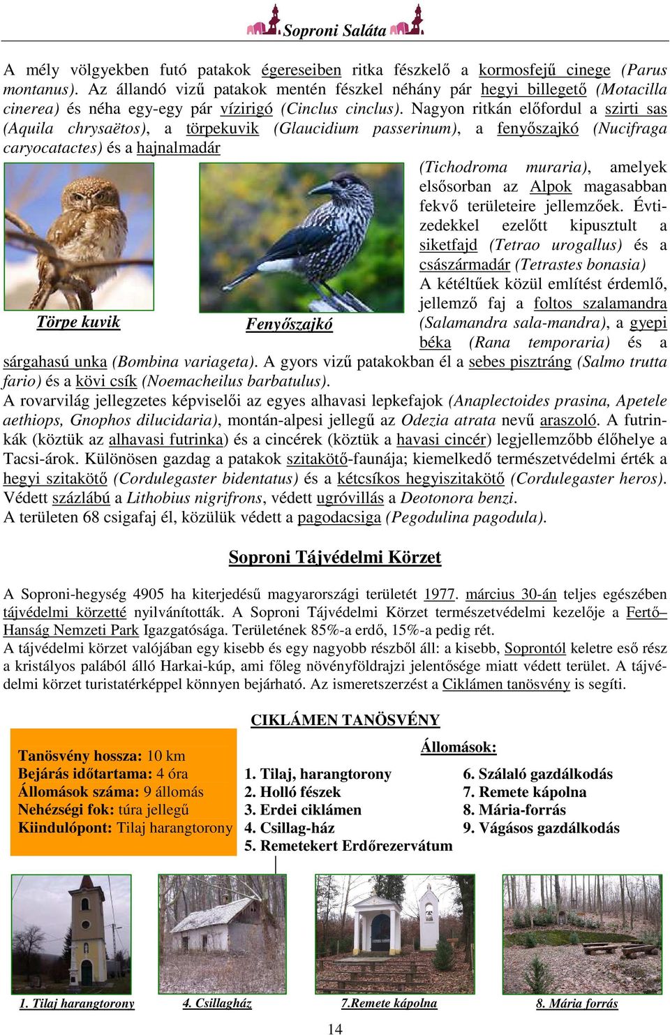 Nagyon ritkán előfordul a szirti sas (Aquila chrysaëtos), a törpekuvik (Glaucidium passerinum), a fenyőszajkó (Nucifraga caryocatactes) és a hajnalmadár (Tichodroma muraria), amelyek elsősorban az