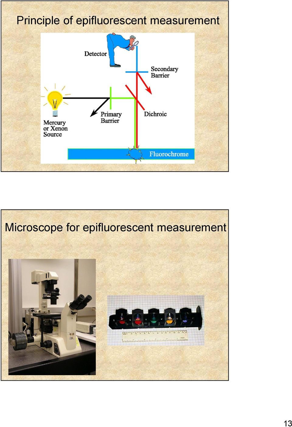 measurement