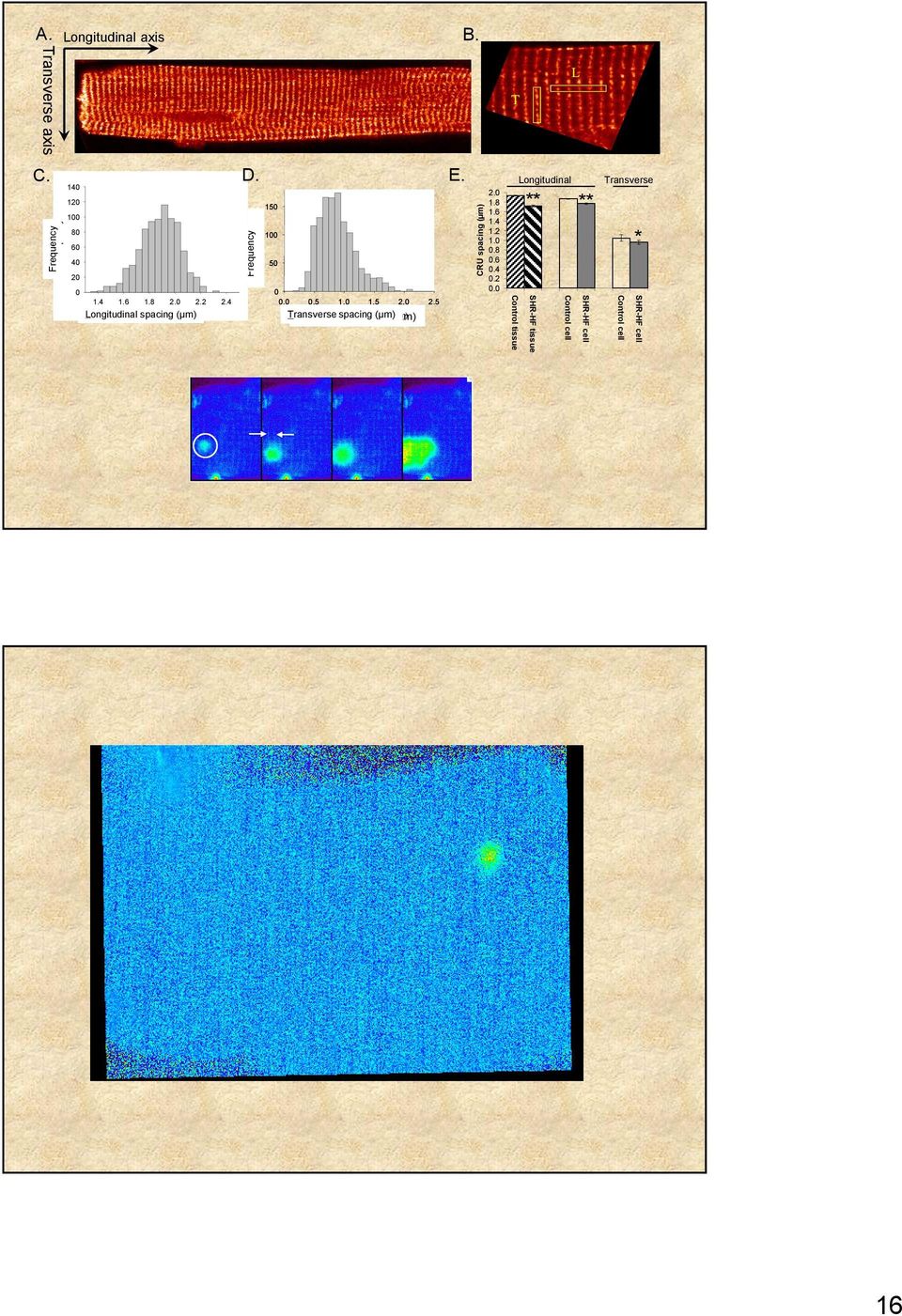CRU spacing (µm) 2.0 1.8 1.6 1.4 1.2 1.0 0.8 0.6 0.4 0.2 0.