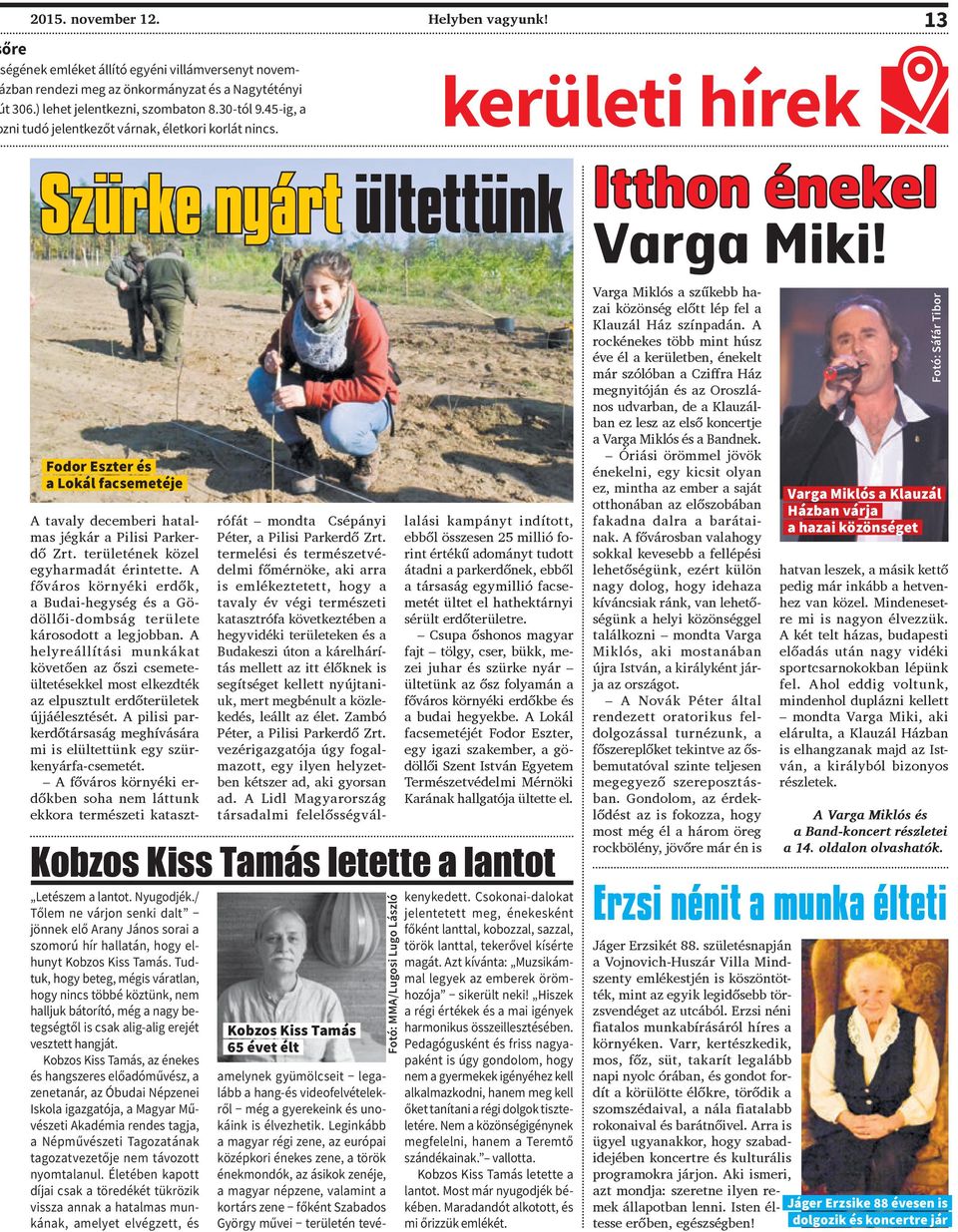 területének közel egyharmadát érintette. A főváros környéki erdők, a Budai-hegység és a Gödöllői-dombság területe károsodott a legjobban.