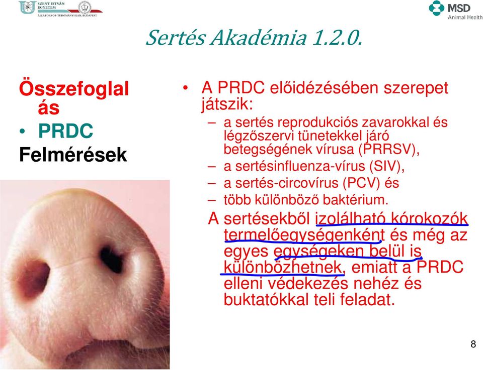 sertés-circovírus (PCV) és több különböző baktérium.