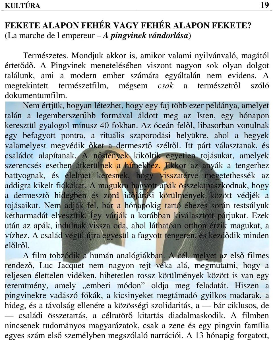 Nem értjük, hogyan létezhet, hogy egy faj több ezer példánya, amelyet talán a legemberszerűbb formával áldott meg az Isten, egy hónapon keresztül gyalogol mínusz 40 fokban.