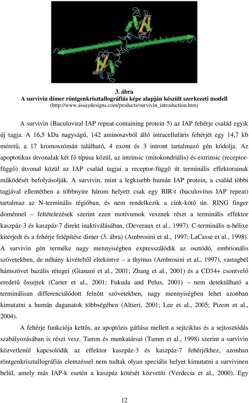 A 16,5 kda nagyságú, 142 aminosavból álló intracelluláris fehérjét egy 14,7 kb mérető, a 17 kromoszómán található, 4 exont és 3 intront tartalmazó gén kódolja.