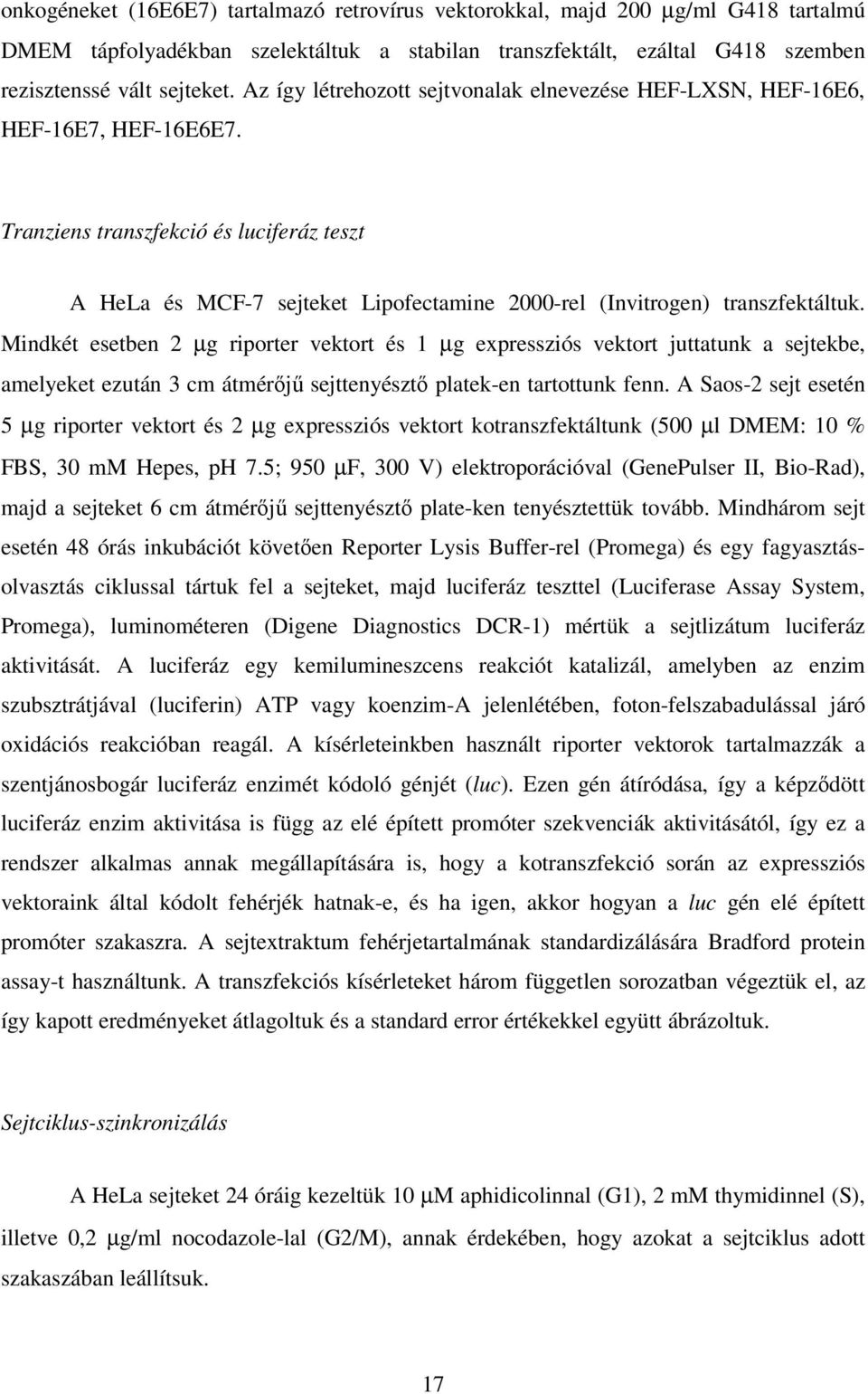 Tranziens transzfekció és luciferáz teszt A HeLa és MCF-7 sejteket Lipofectamine 2000-rel (Invitrogen) transzfektáltuk.