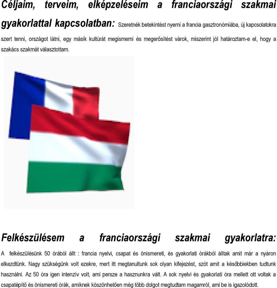 Felkészülésem a franciaországi szakmai gyakorlatra: A felkészülésünk 50 órából állt : francia nyelvi, csapat és önismereti, és gyakorlati órákból álltak amit már a nyáron elkezdtünk.