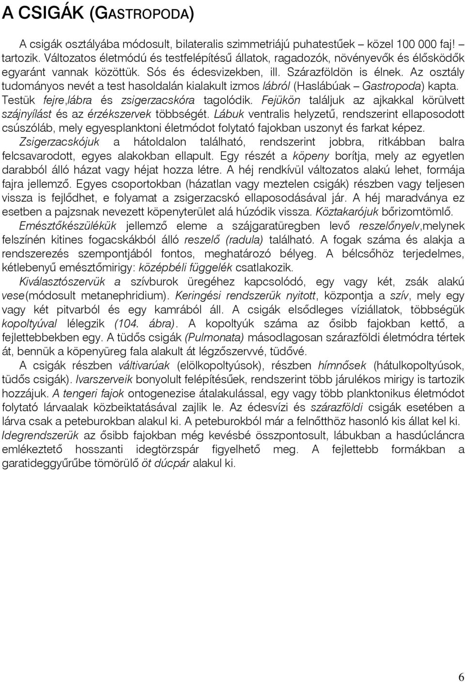 Az osztály tudományos nevét a test hasoldalán kialakult izmos lábról (Haslábúak Gastropoda) kapta. Testük fejre,lábra és zsigerzacskóra tagolódik.