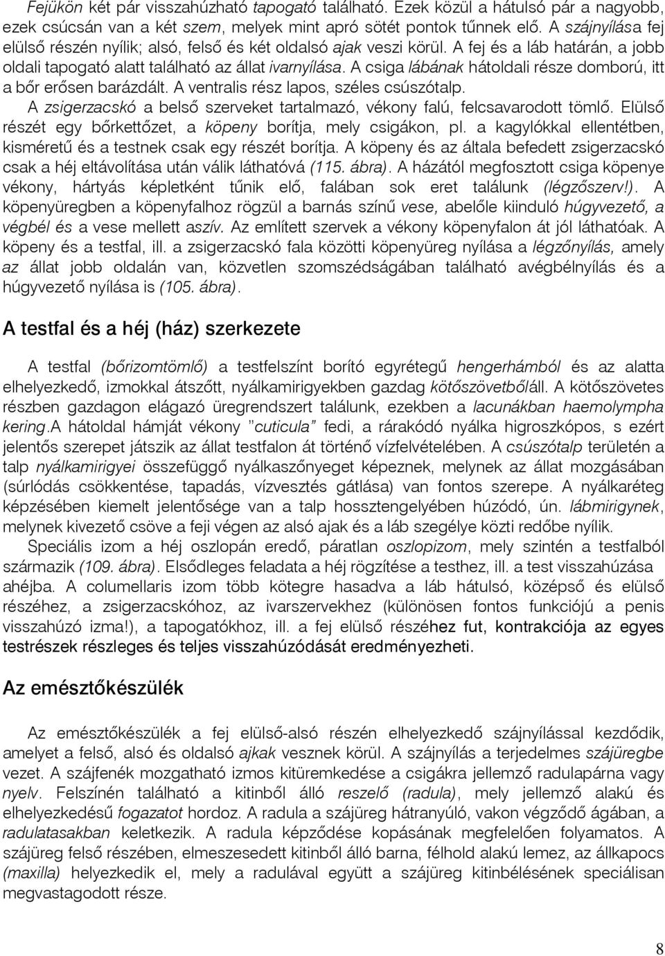 A csiga lábának hátoldali része domború, itt a bôr erõsen barázdált. A ventralis rész lapos, széles csúszótalp. A zsigerzacskó a belsô szerveket tartalmazó, vékony falú, felcsavarodott tömlõ.