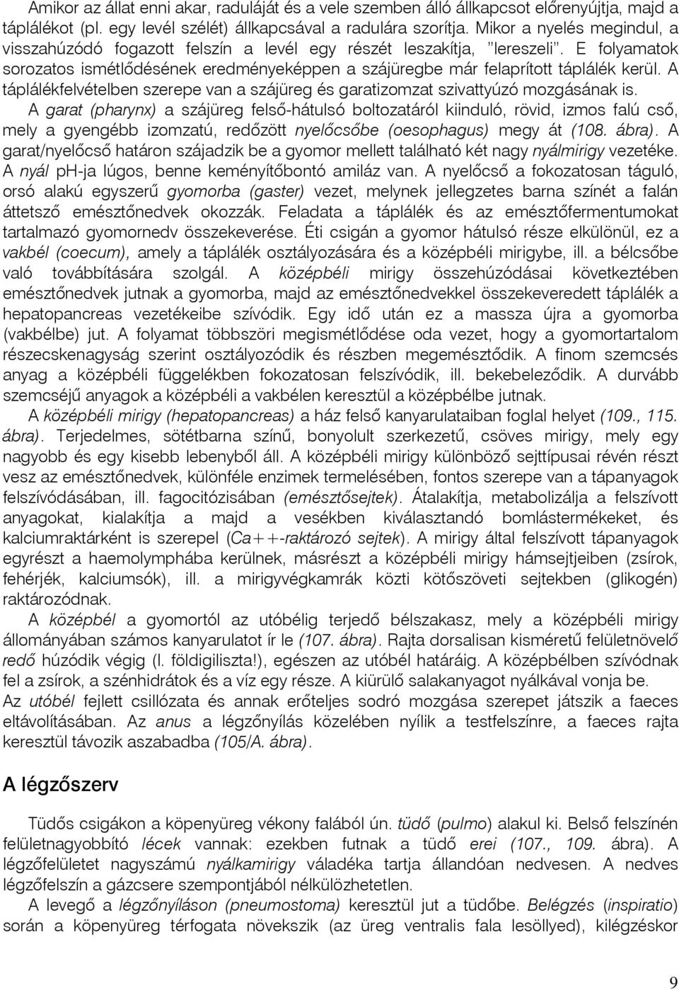 A táplálékfelvételben szerepe van a szájüreg és garatizomzat szivattyúzó mozgásának is.