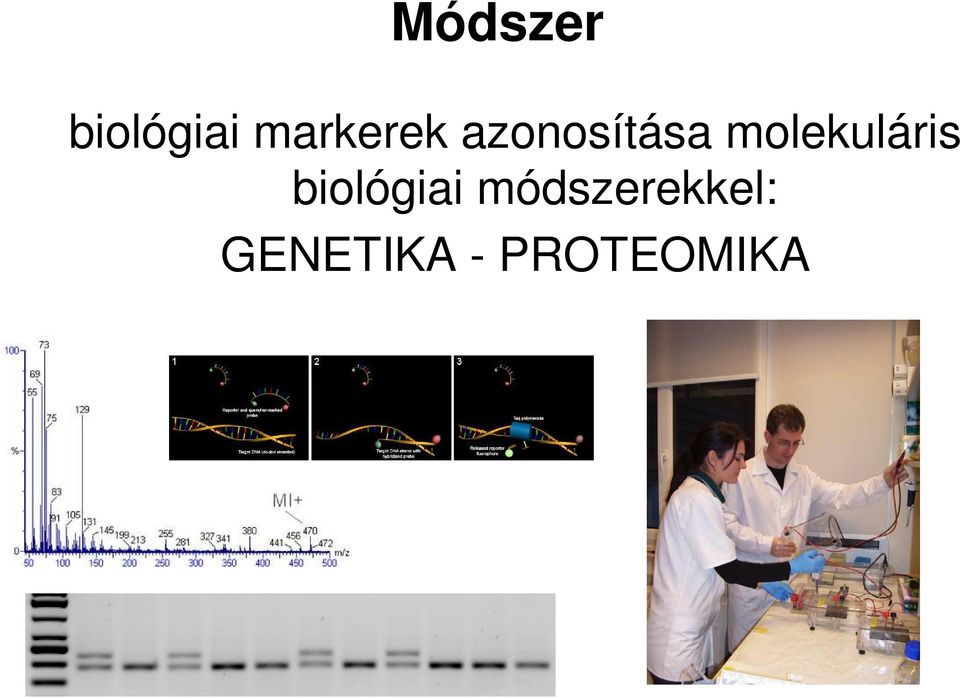 molekuláris biológiai