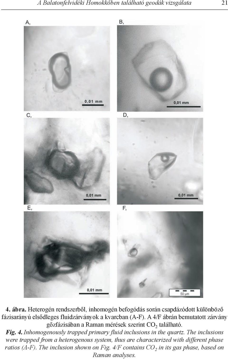 A 4/F ábrán bemutatott zárvány gőzfázisában a raman mérések szerint CO 2 található. Fig. 4. Inhomogenously trapped primary fluid inclusions in the quartz.
