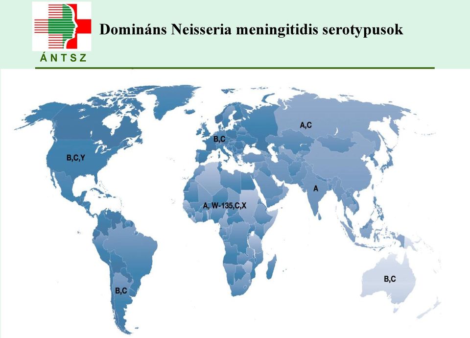 meningitidis