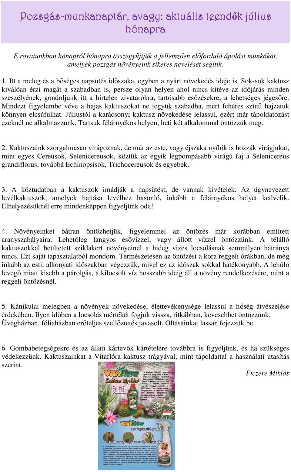 Sok-sok kaktusz kiválóan érzi magát a szabadban is, persze olyan helyen ahol nincs kitéve az időjárás minden szeszélyének, gondoljunk itt a hirtelen zivatarokra, tartósabb esőzésekre, a lehetséges