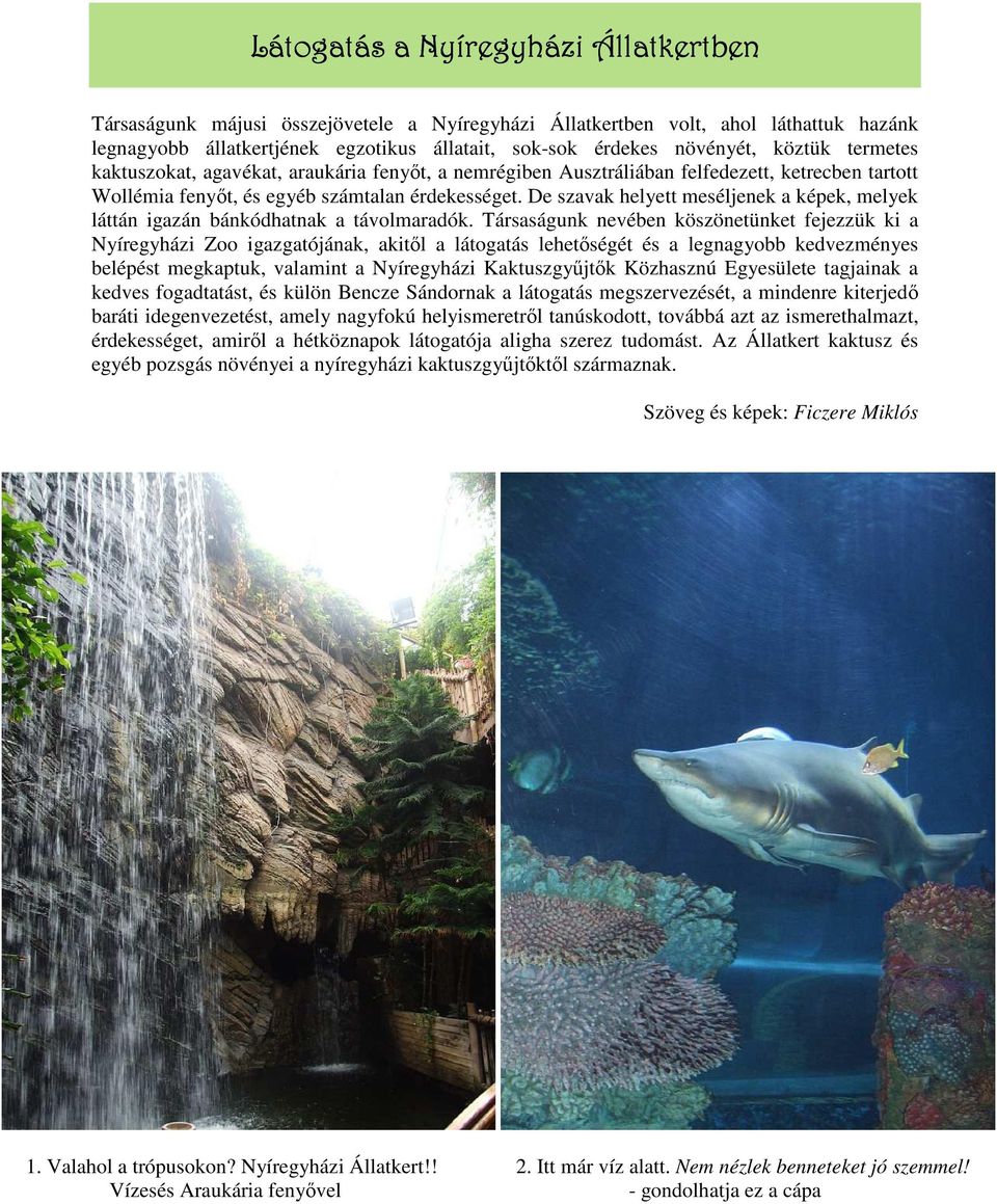 De szavak helyett meséljenek a képek, melyek láttán igazán bánkódhatnak a távolmaradók.