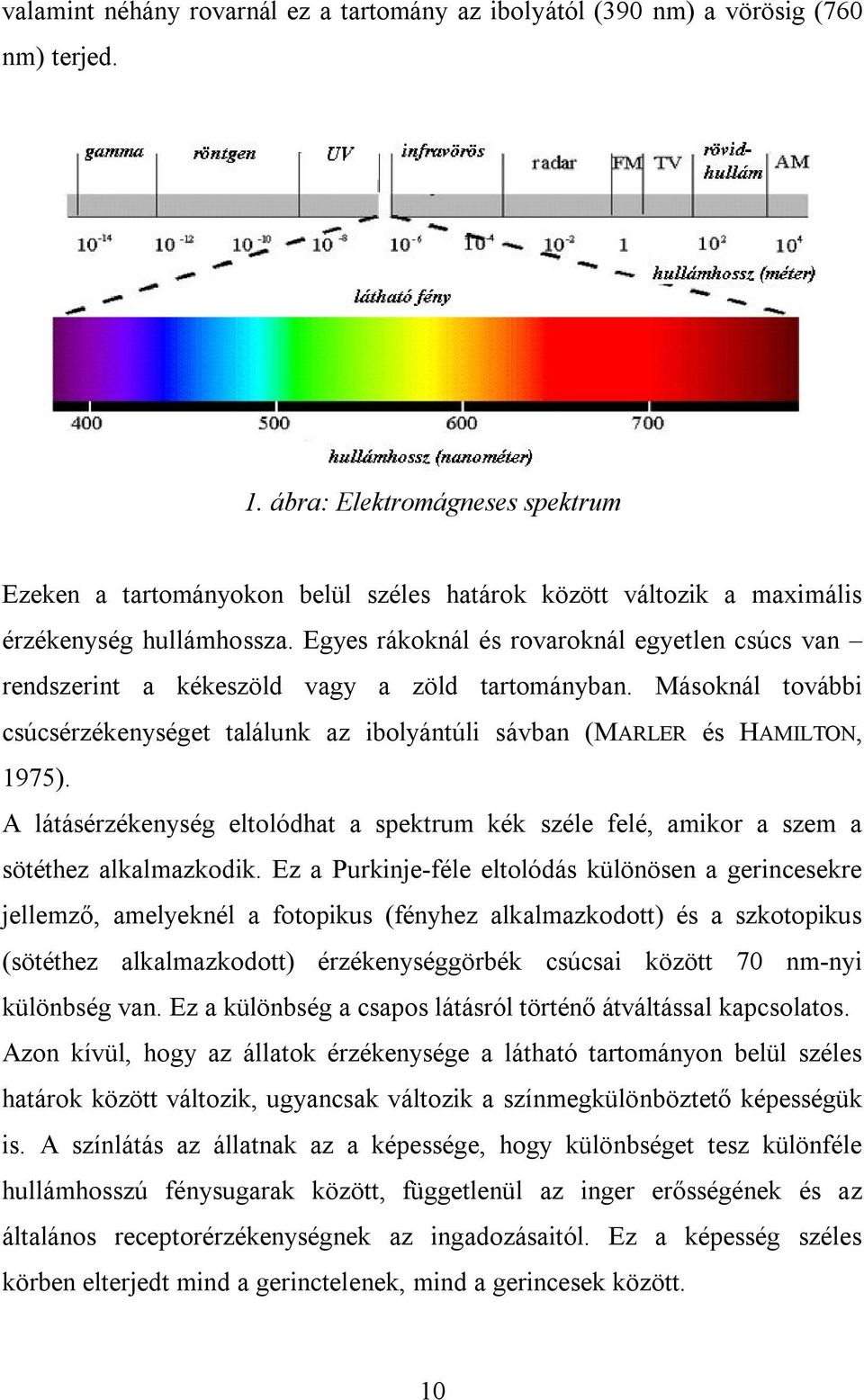 Egyes rákoknál és rovaroknál egyetlen csúcs van rendszerint a kékeszöld vagy a zöld tartományban. Másoknál további csúcsérzékenységet találunk az ibolyántúli sávban (MARLER és HAMILTON, 1975).