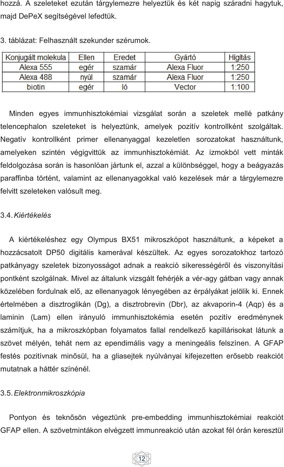 Negatív kontrollként primer ellenanyaggal kezeletlen sorozatokat használtunk, amelyeken szintén végigvittük az immunhisztokémiát.