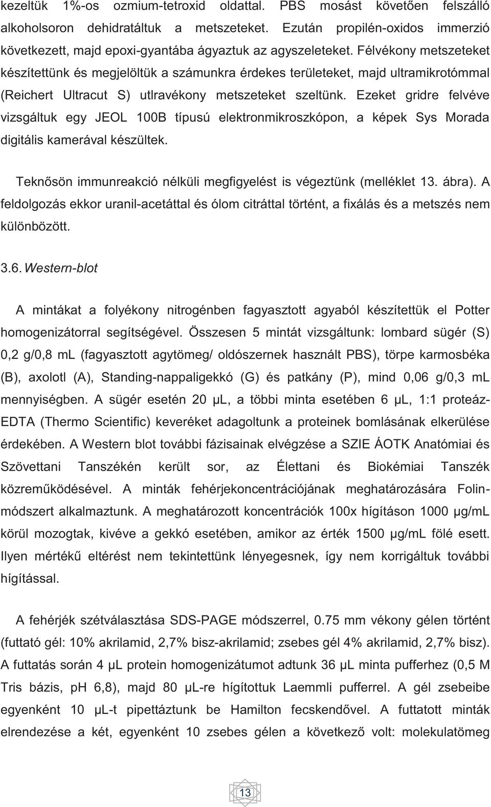 Félvékony metszeteket készítettünk és megjelöltük a számunkra érdekes területeket, majd ultramikrotómmal (Reichert Ultracut S) utlravékony metszeteket szeltünk.