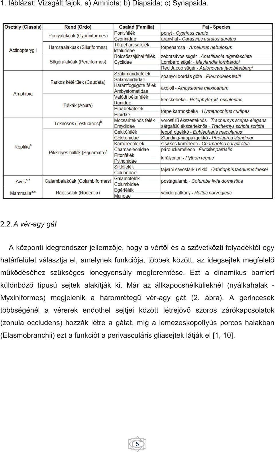 megfelelő működéséhez szükséges ionegyensúly megteremtése. Ezt a dinamikus barriert különböző típusú sejtek alakítják ki.