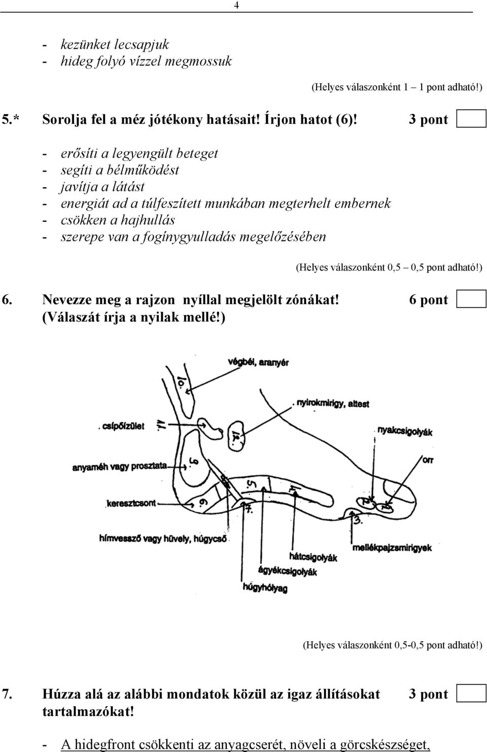 van a fogínygyulladás megelőzésében (Helyes válaszonként 0,5 0,5 pont adható!) 6. Nevezze meg a rajzon nyíllal megjelölt zónákat! 6 pont (Válaszát írja a nyilak mellé!