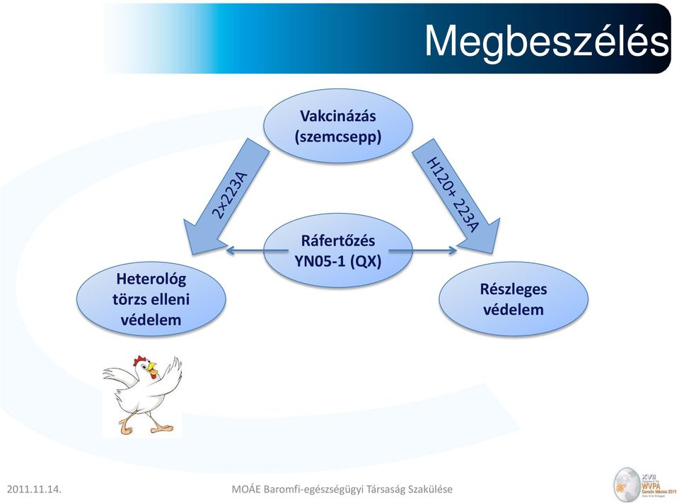 törzs elleni védelem